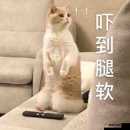 被教官按在寝室狂到腿软视频：因恐惧而无法站立