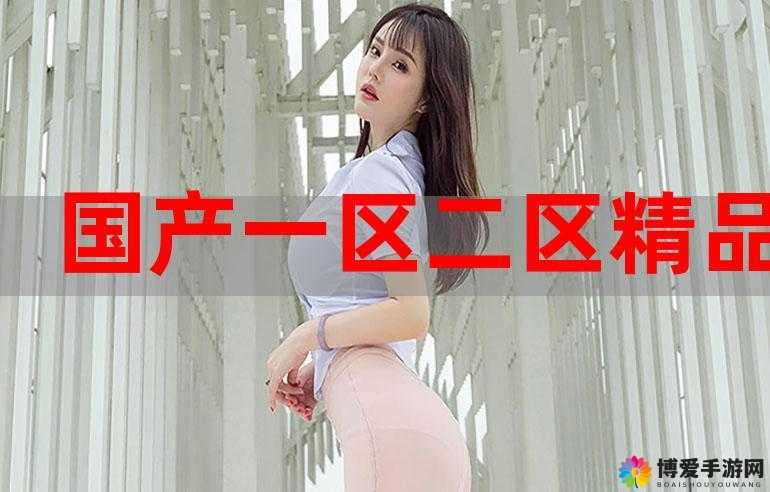 国产电影一区二区三区之分类解析