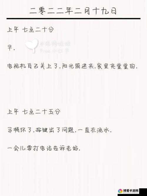 赵丽雅的公交车日记：一段独特的乘车经历