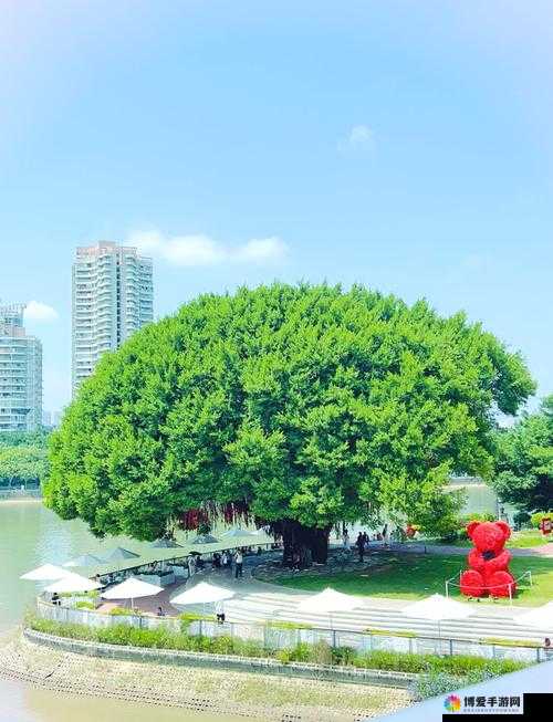 爱情岛永久入口：带你开启浪漫之旅的永恒通道