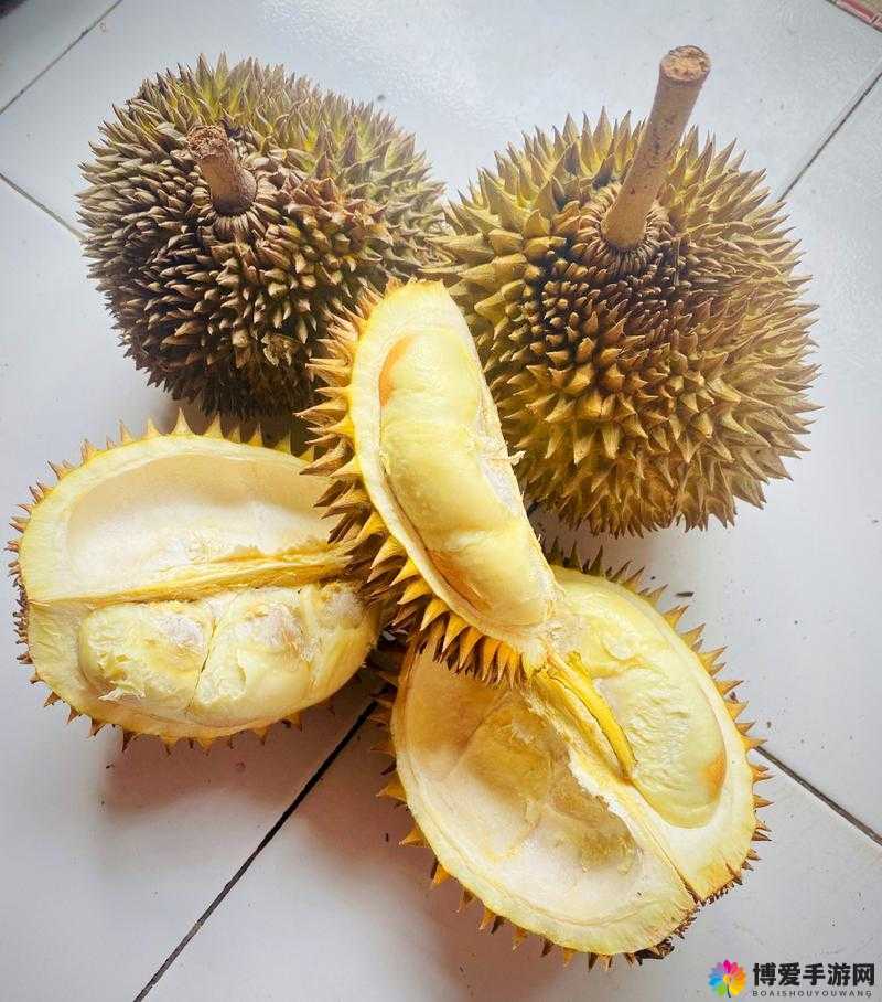 草莓丝瓜香蕉向日葵榴莲：美味蔬果与灿烂花朵的奇妙组合