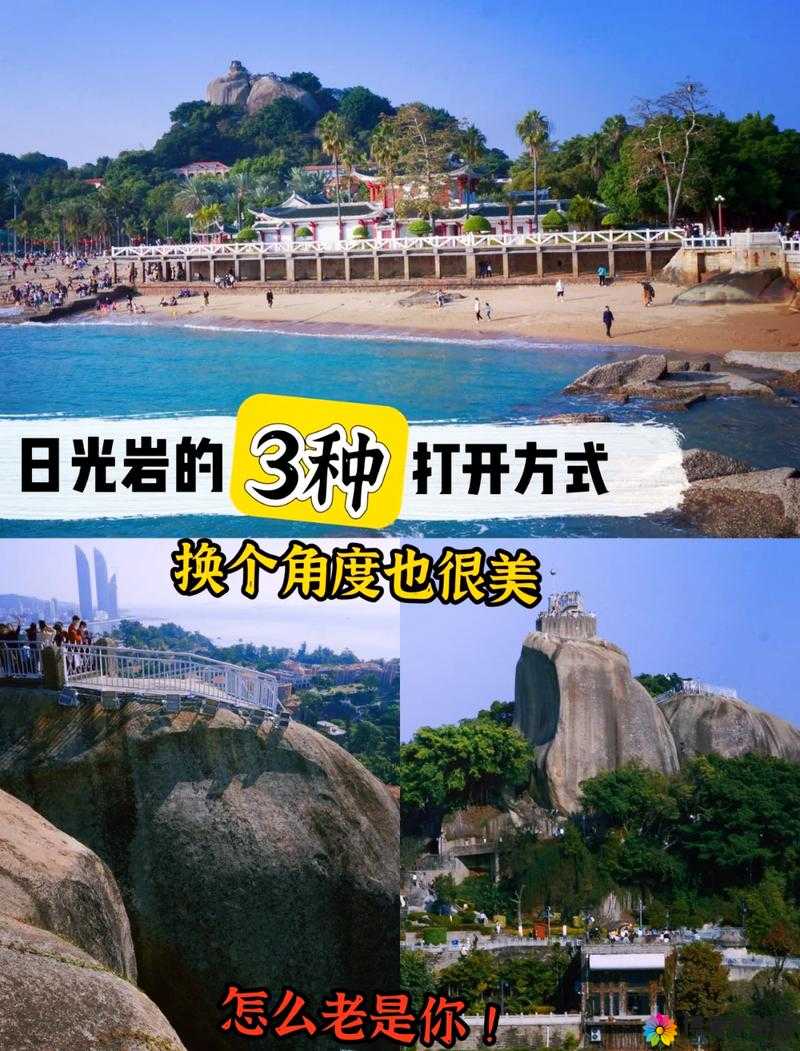 人人皆可摸可看：探索别样视角下的独特现象