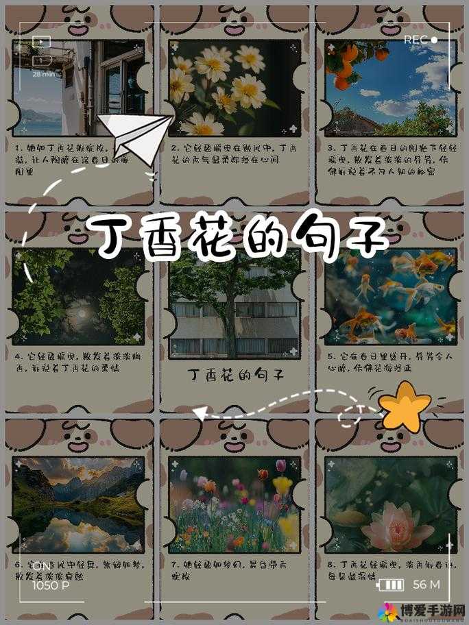 九月丁香婷婷：芬芳四溢的魅力绽放与温馨故事