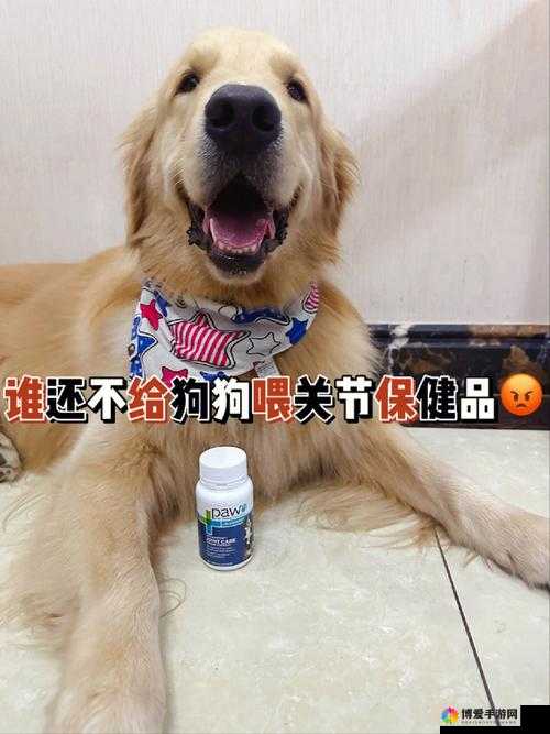 狗狗胶配方整个过程详细解析及制作方法