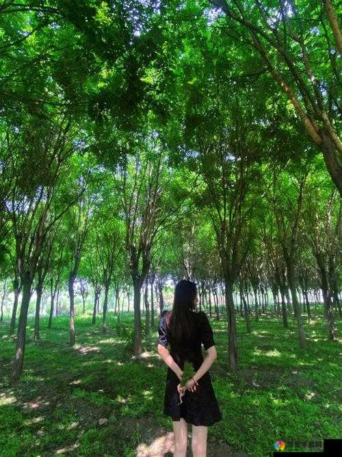 农村妇女在树林里的别样经历与故事
