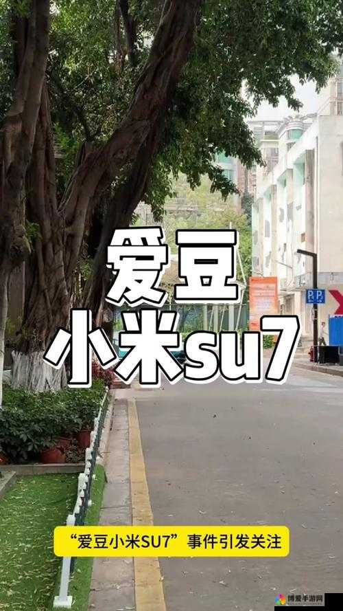 爱豆小米 su7 雅娜是我心中永远的闪耀之星