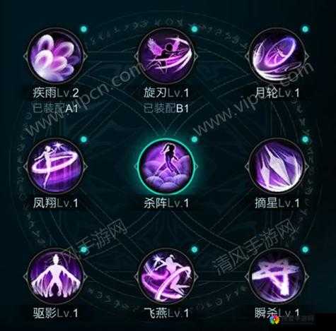 冒险岛2刺客职业属性及技能介绍，资源管理、高效利用与避免浪费