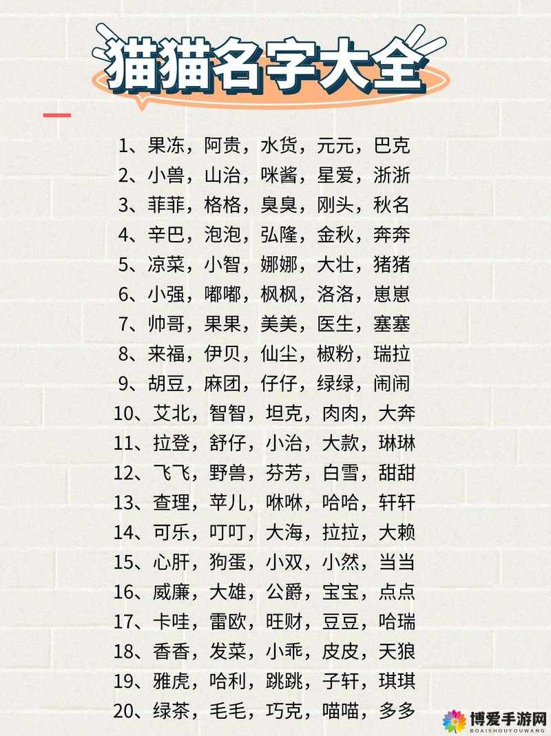 关于猫咪最新永久地域网名是什么:你可能需要知道的一切