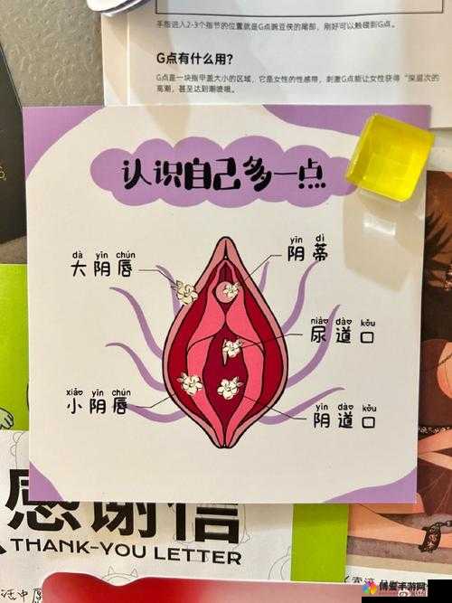 大荫蒂 BBBBBB 大荫蒂：探索未知的私密世界