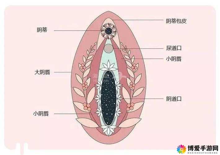 女人精 69Xx 喷潮图片:极致私密的震撼体验