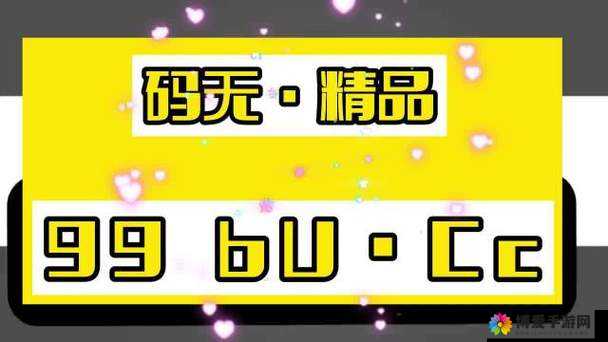 麻豆精品无人区码一二三区别：探究其不同之处与特点
