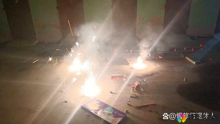 免费无遮挡视频网站摇床带来极致视觉享受与新奇体验