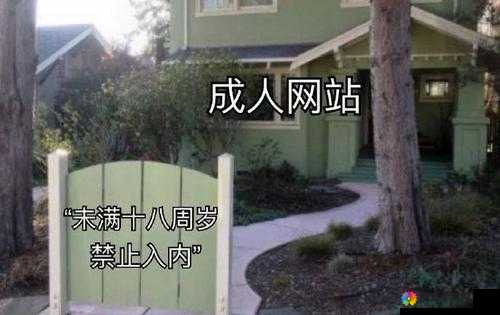 在线播放免费成年人影片的网站 freepompron.sex 引争议