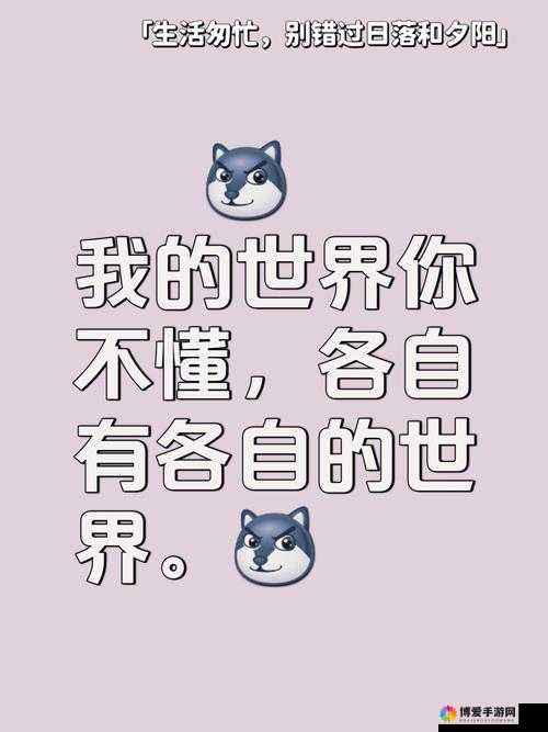 任你躁任你我躁：探寻其背后的深层含义与影响