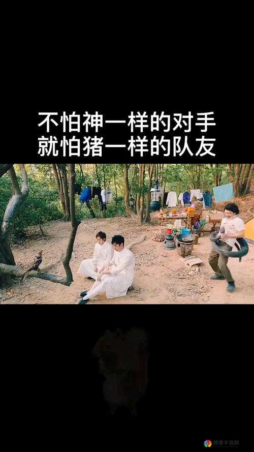 虚荣小贱视频直播，在资源管理中的战略智慧——不怕神一样的敌人