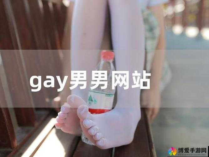 国产中文男男 gay 网站:探索独特的同性情感世界
