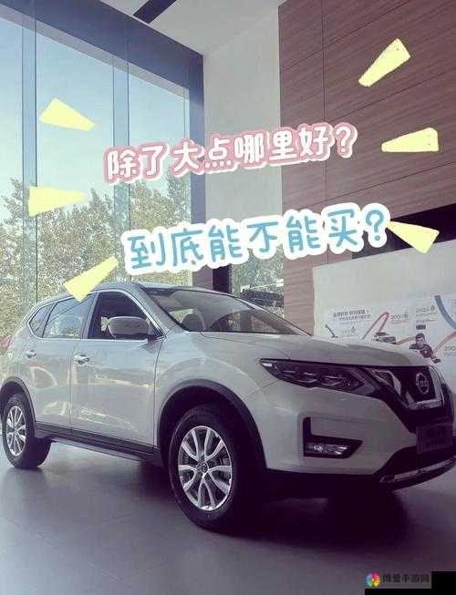 国产日产亚系列精品版优势：为何能成为市场佼佼者备受青睐