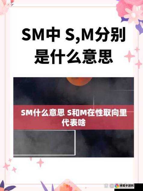 极致爽躁多水快感且深点的 SM 相关内容探索