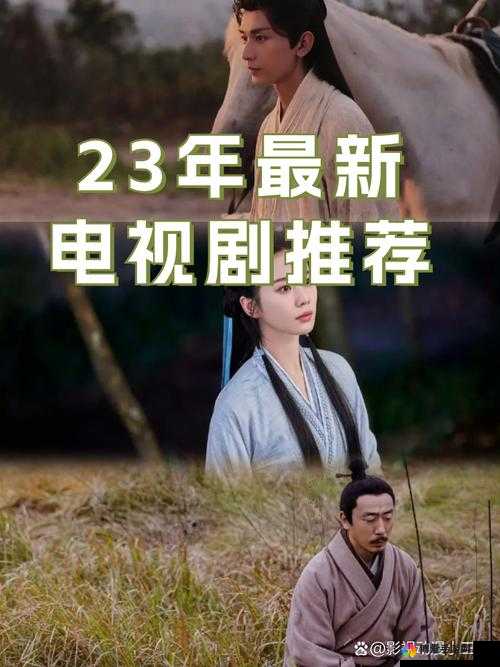 男人的好电视剧免费观看高清：精彩剧情不容错过