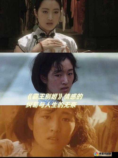 啊∽你 TM 别 了我的小兔兔电影：一场令人揪心的情感纠葛