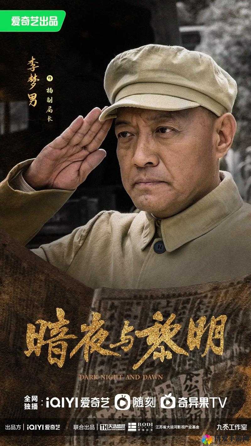 暗夜与黎明电视剧免费观看：穿越时空的爱情冒险