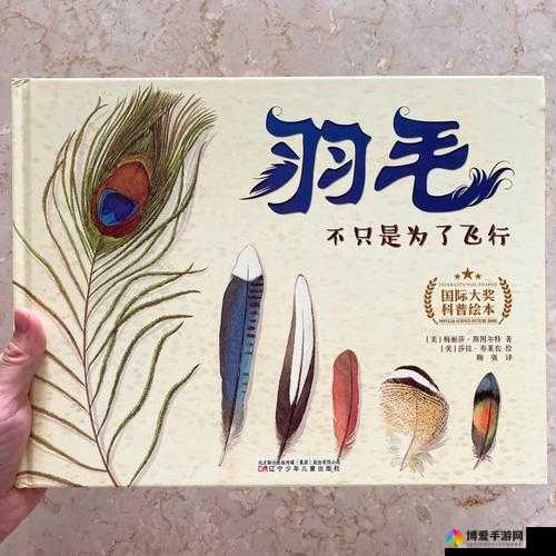 令人心跳加速的奇妙体验：刷子女生的脚心与羽毛的奇妙互动