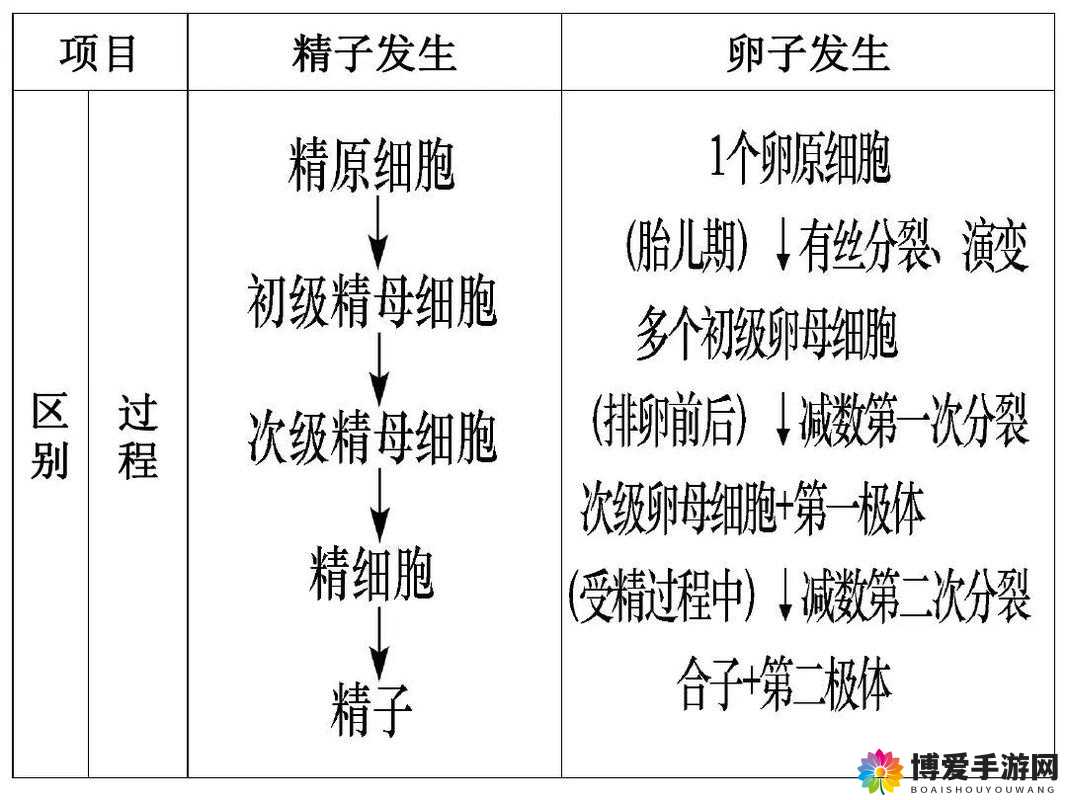 授精记录 1-21 章节：人类繁衍历程的详细描绘