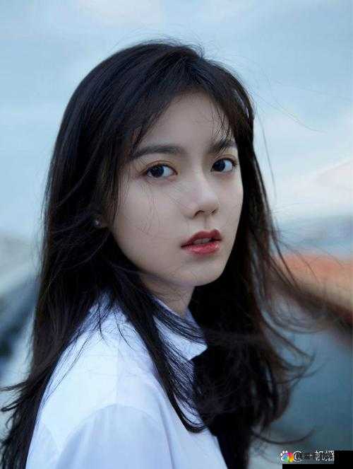 国产精品:日日精彩呈现,备受众人喜爱与追捧