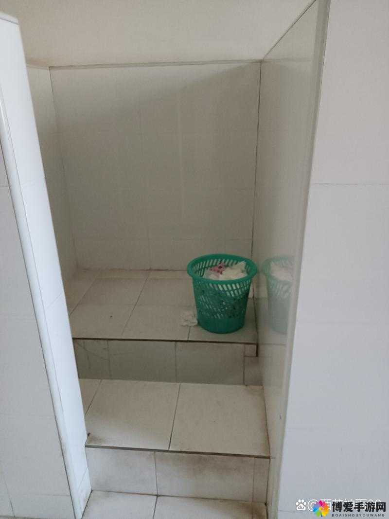 厕沟精品清晰女厕正面女之详细介绍与深入分析