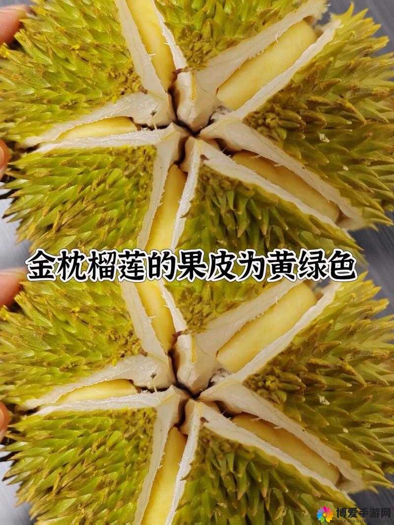 榴莲秋葵：让你欲罢不能的美食之选