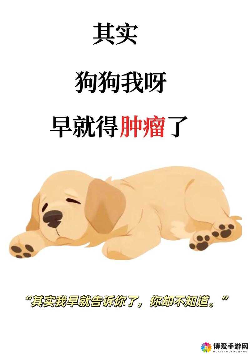 抖 S 狗狗：务必乖乖听从主人的话呀