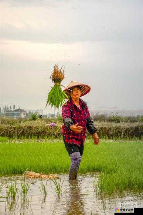儿子耕种母亲的田地的寓意视频：亲情与土地的深度交融