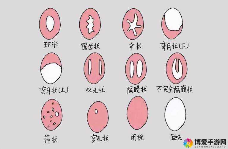 亲女性行为违背伦理道德绝对不可取