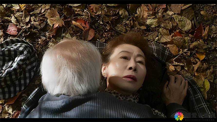 丰满老女人 a 片免费观看：释放你内心的欲望