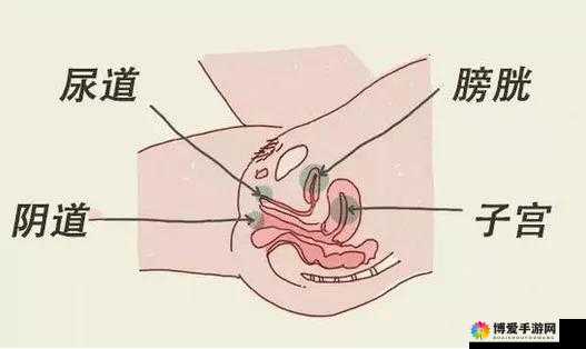 如何在让男人添荫道时注意卫生和安全