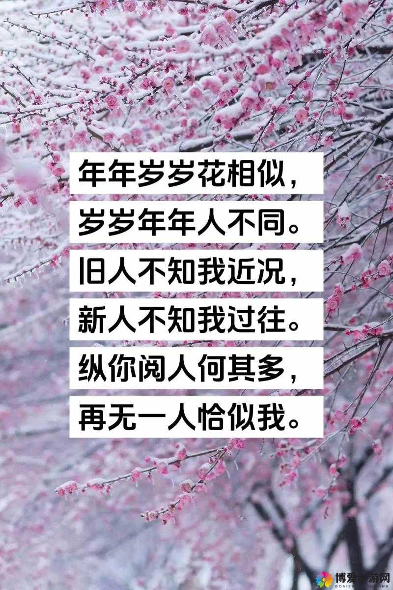 久久久成品人精品人有何不同