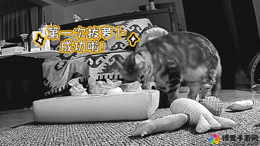 二人世界的奇妙拔萝卜之旅