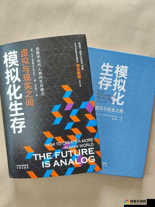 虚荣，在虚拟与现实间寻找平衡的艺术