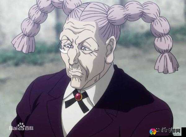 chinesehdx老太婆：一个充满神秘色彩的人物