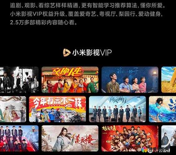 香蕉视频 影视:天天畅享极致爽感体验