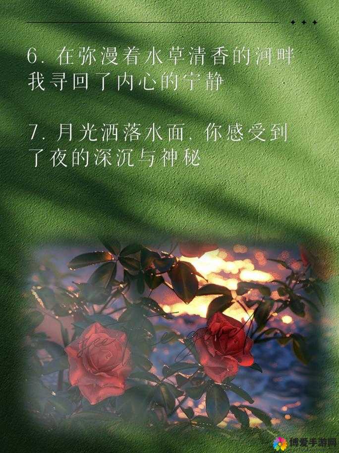 水边之夜未增减板：静谧时光中的神秘探索