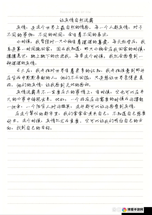 管家的朋友麦子：在岁月中追寻梦想与真情的故事