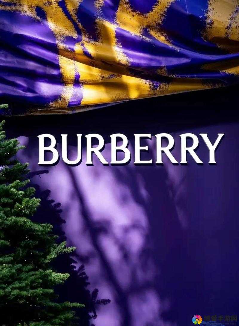 Burberry 官网:探索英伦时尚的奢华之旅与经典传承