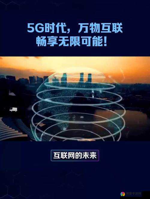 香蕉视频 速度：天天爽，畅享无限可能