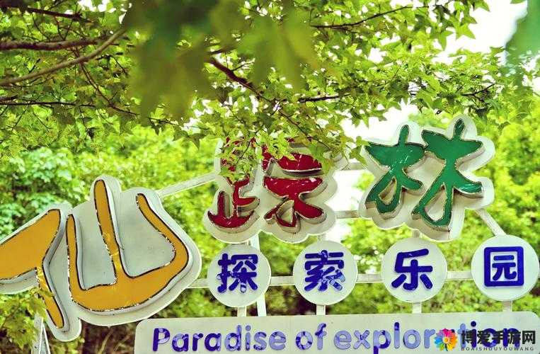 走进真实的 XXX 仙踪林:探索娇小性的奇妙世界