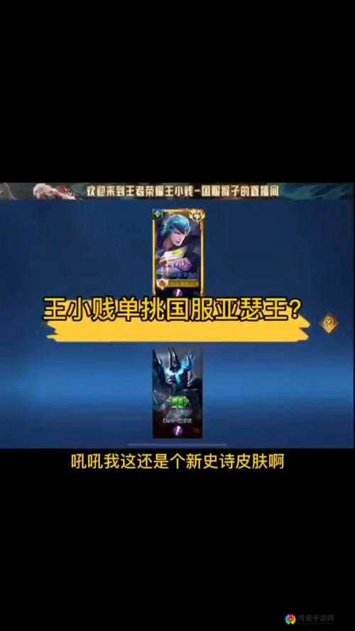 虚荣国服小贱解说鹰眼卓四箭秒杀一切，资源管理的艺术