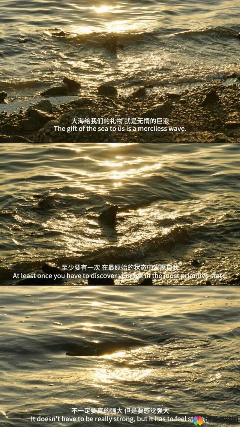 最好看的 2018 国语字幕：带你领略精彩的影视世界