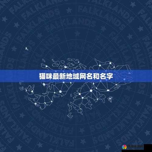 猫咪 mv 最新网名在线观看免费：快来体验精彩视频内容