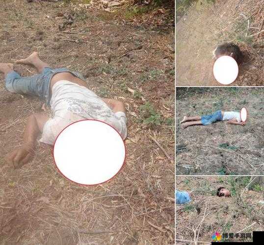 血腥割头外网免费版：真实犯罪实录，揭露人性黑暗