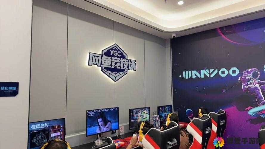 虚荣VGL，电竞梦想与现实交织的舞台
